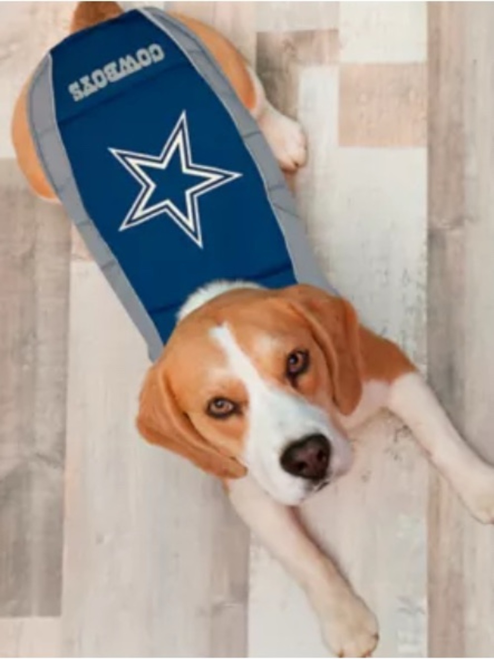 Pets First Dallas Cowboys Puffer Pet Vest